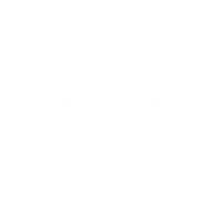 Handbag icon