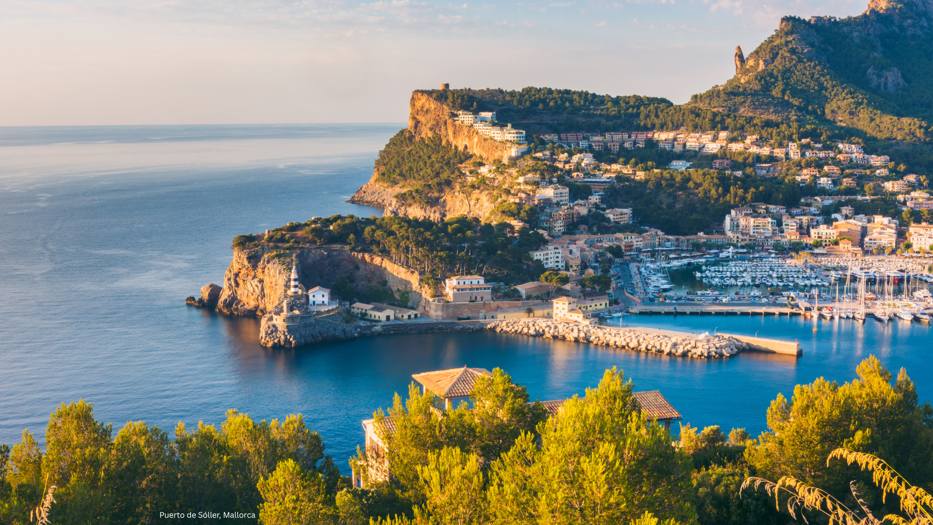 Harbor of Puerto de Sóller