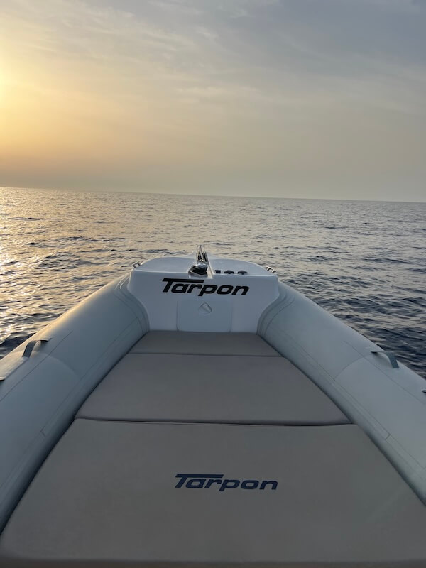 Tarpon Boat Front Sunbed