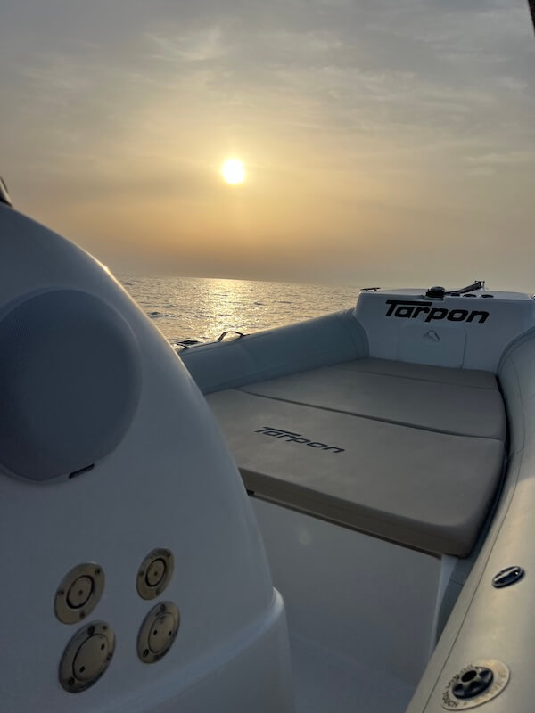 Tarpon Boat Front Sunset